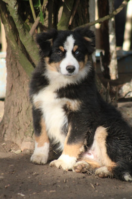 A little Lightning Bolt