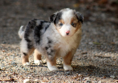 A little Mighty River